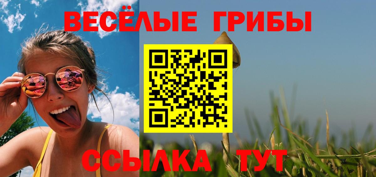 Псилоцибиновые грибы Cubensis Тулун