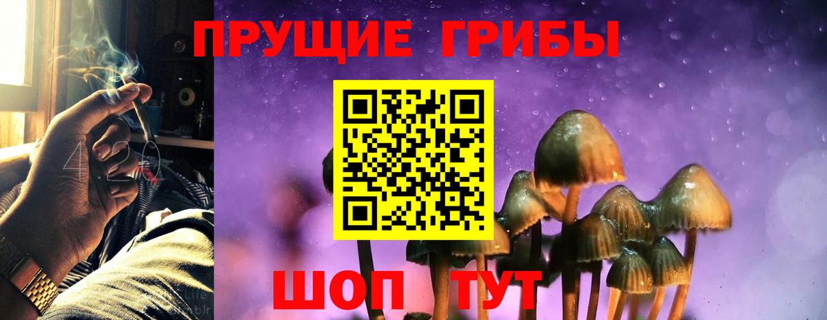 Галлюциногенные грибы Cubensis  Вход с VPN  Тулун 
